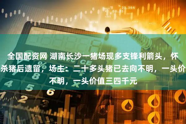 全国配资网 湖南长沙一猪场现多支锋利箭头，怀疑无人机射杀猪后遗留，场主：二十多头猪已去向不明，一头价值三四千元