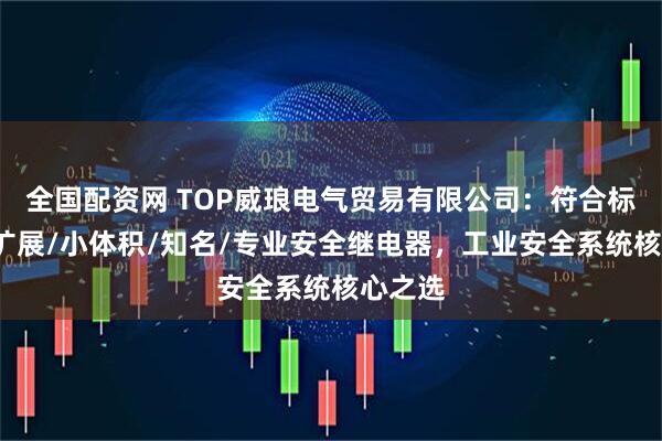 全国配资网 TOP威琅电气贸易有限公司:符合标准/可扩展/小体积/知名/专业安全继电器,工业安全系统核心之选